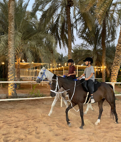اسطبل الهاشمي alhashmi stable - Dubai - +971 56 811 8000