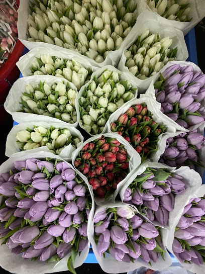 Lemas Rose Flowers - ليماس روز للزهور - United Arab Emirates|Industrial Area - Abu Dhabi|AL NAGLAH