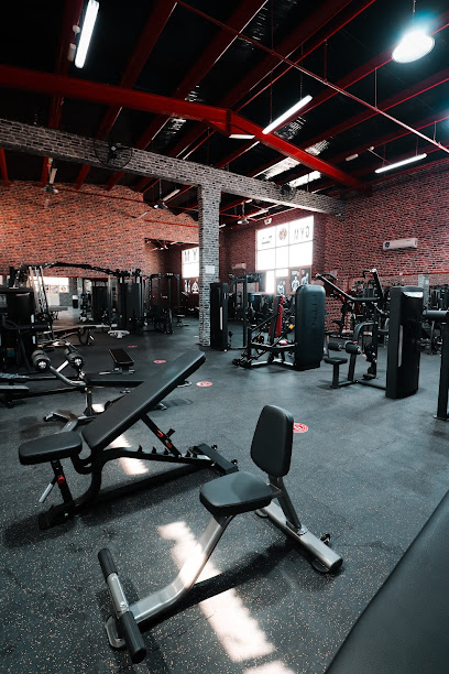 Up Down Gym - United Arab Emirates|Al Noud - Abu Dhabi|71st St