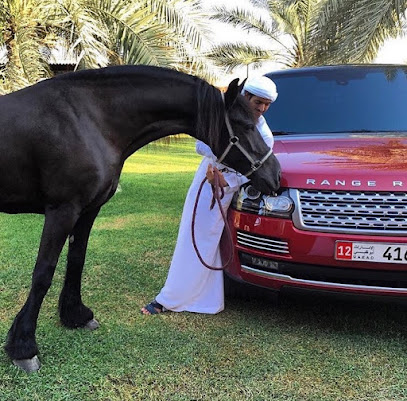 YRM STABLE - Dubai - +971 50 311 0999