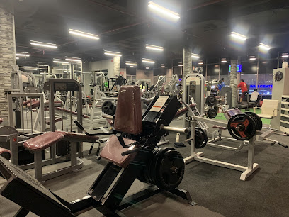 TORONTO GYM - Dubai - +971 50 881 1801