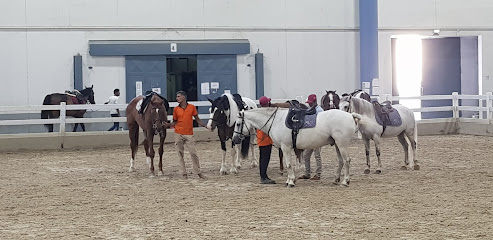 Indoor Riding Arena - Dubai - +971 6 531 1155