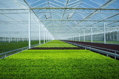 Pure Harvest Al Ain Farm - Ajman -