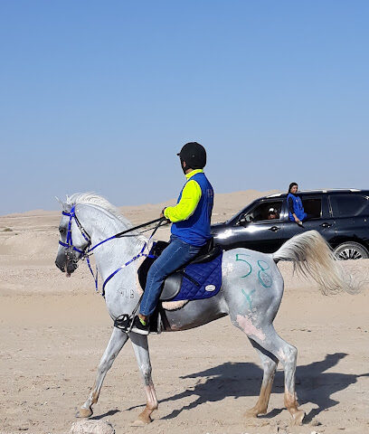 Baniyas Equestrian Academy - Dubai - +971 50 823 2900