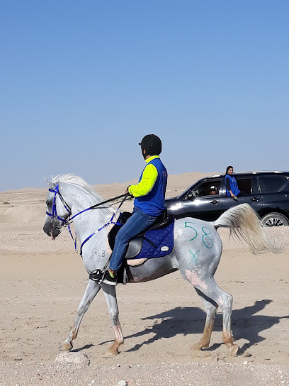 Baniyas Equestrian Academy - United Arab Emirates|Bani Yas - East 13 - Abu Dhabi|الشارع العام،|7MP7+7VX