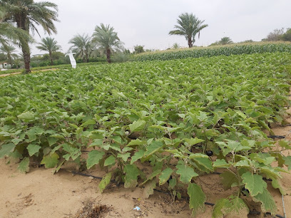 Gracia Farm - Dubai - +971 52 269 7577