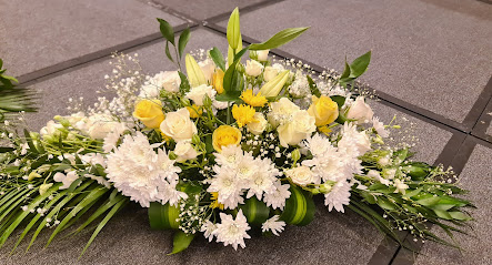 Farm Fresh Flowers (@ Wholesale Price) 24/7 - Ajman - +971 56 802 1949