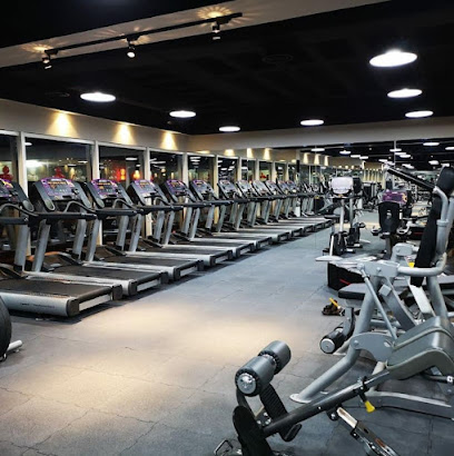 FITOX Gym - Dubai - +971 4 399 3563