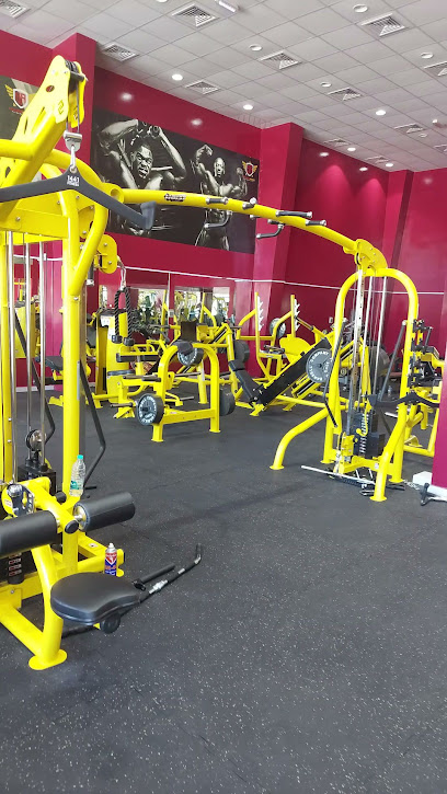 Power zone fitness club - United Arab Emirates|Khalifa Bin Zayed City - Ras al Khaimah