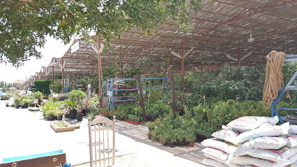 Garden Selmani - Dubai -