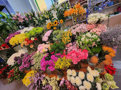 Black Tulip Flowers LLC - Choithrams Umm Suqeim - Ajman - +971 55 221 9343