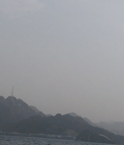 Al Saleh Farm - Ajman -