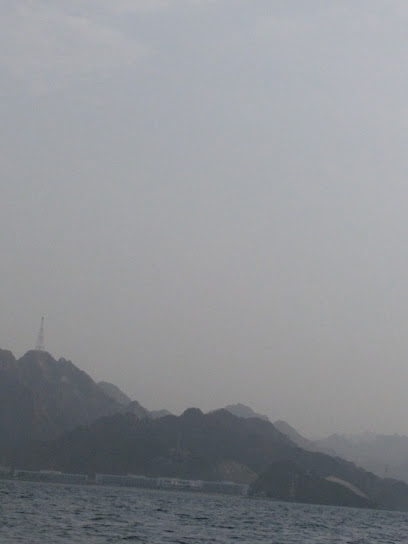 Al Saleh Farm - United Arab Emirates|Dibba Al-Fujairah|Al Saleh Farm  |H8WR+V59