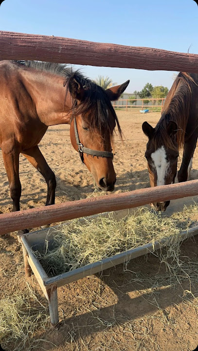 Al Nemer Farm - United Arab Emirates|Sharjah|6WRC+934