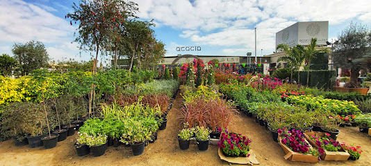 Acacia Garden Center - Dubai - +971 4 287 3151