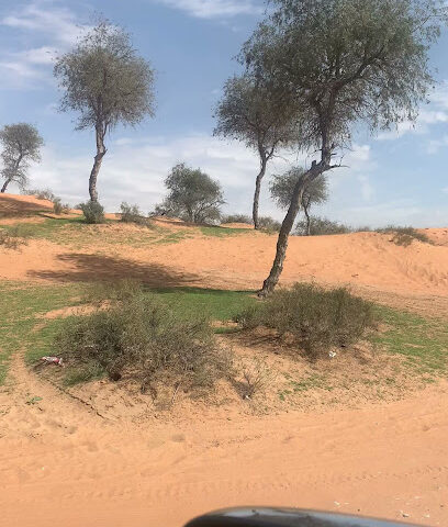 منطقة الخديجة - Ajman -