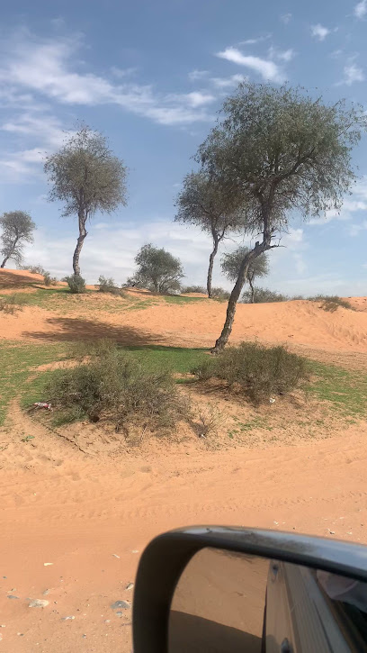 منطقة الخديجة - United Arab Emirates|Al Mazrae - Ras al Khaimah|HRVV+36