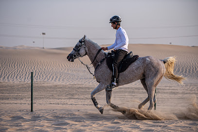 SHS Stable Al Wathba - Dubai - +971 56 672 2221