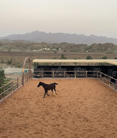 ALDHAWI STUD - Dubai - +971 50 507 5757