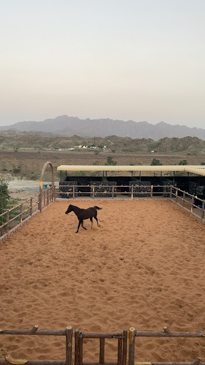 ALDHAWI STUD - United Arab Emirates|Murbad - Fujairah