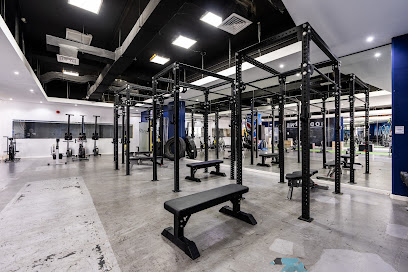 Bodyline Gym - Dubai - +971 50 238 2309