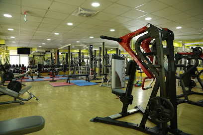 GOLDENARMS GYM - Dubai - +971 52 775 3160