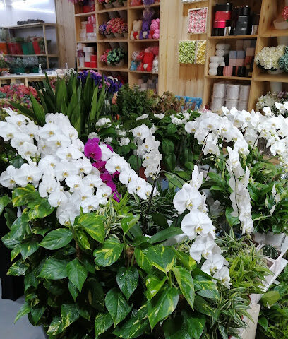 Flora Riche - Ajman - +971 4 548 0809