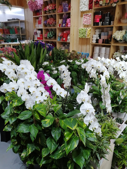 Flora Riche - United Arab Emirates|Jumeirah - Jumeirah 3 - Dubai|Al Wasl Rd|Flora Riche Flowers Trading LLC Lamar Building