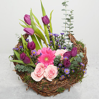 FNP Dubai – Flowers, Plants, Gifts & Cake Shop - Ajman - +971 600 511100