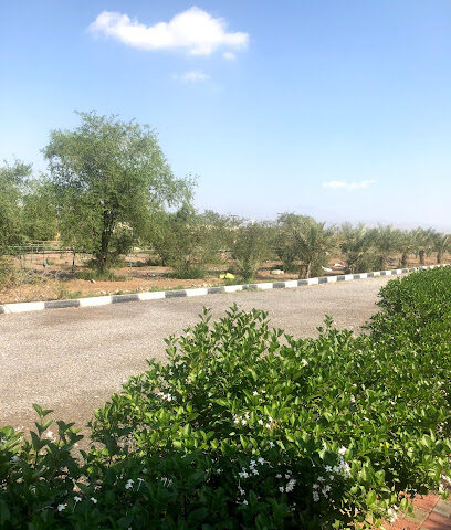 Brothers Farm - Ajman - +971 50 552 3617
