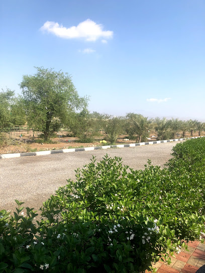 Brothers Farm - United Arab Emirates|Mudfak - Ras al Khaimah|Al Manama Road
