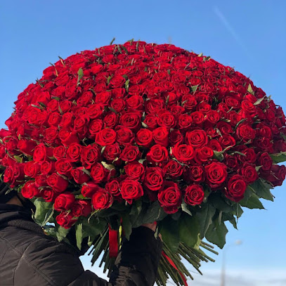 Venera Flowers - Ajman - +971 55 335 3800