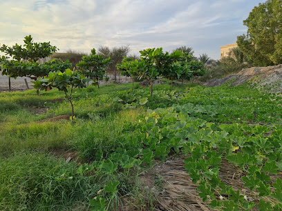 مزرعة العيان - Ajman -