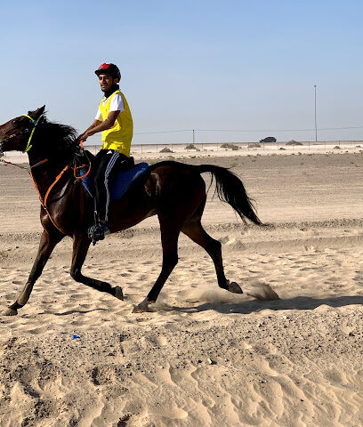 AlHuboob Endurance Stables - Dubai - +971 50 144 1548