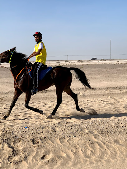 AlHuboob Endurance Stables - United Arab Emirates|Al Bahyah - Abu Dhabi|GJJQ+JGH