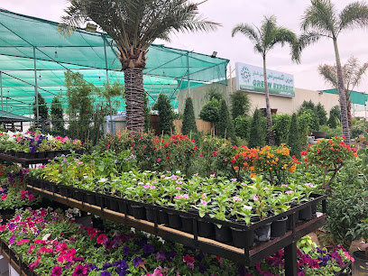 Green Experts - Dubai - +971 56 505 4031