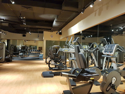 Vibez Fitness Centre & Spa (Ladies Only) - Ajman - +971 2 443 3077