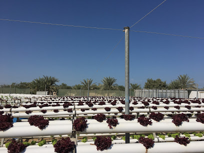 Emirates Hydroponics Farms - Ajman - +971 2 563 5694