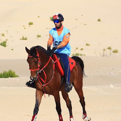 Al Bairaq Stable - Dubai -
