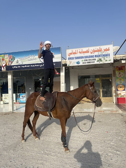 اسطبلات الاصايل - United Arab Emirates|Al Faslayn - Ras al Khaimah|شارع السهيلة