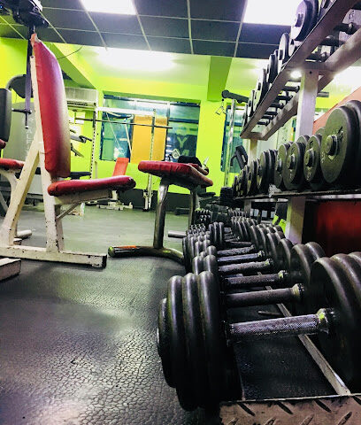 Haifa gym - Dubai - +971 55 220 1357