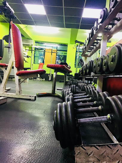 Haifa gym - United Arab Emirates|Deira - Dubai