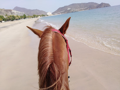 Maydan Khorfakan Equestrian Club - Dubai - +971 50 805 5882