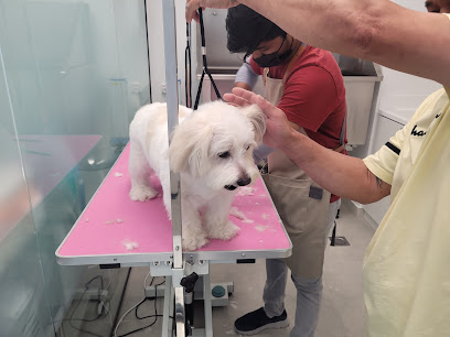 WELFARE VETERINARY CLINIC - عيادة ويلفير البيطرية - Ajman - +971 50 438 0030