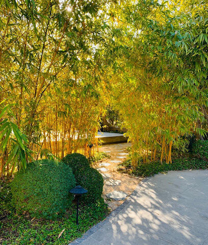 The Yoga Studio - Dubai - +971 2 447 7735