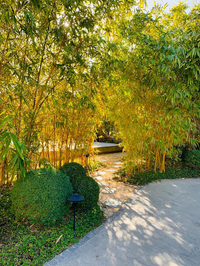 The Yoga Studio - United Arab Emirates|Al Mushrif - Abu Dhabi|710 Al Karamah St