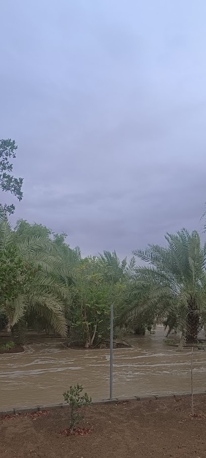 مزرعة محمد ال علي - United Arab Emirates|Sharjah|Unnamed Road|8W36+88C