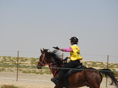 Asawer Equestrian Stables - Dubai - +971 50 912 5571