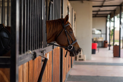 Mleiha Stables - Dubai - +971 6 802 1111