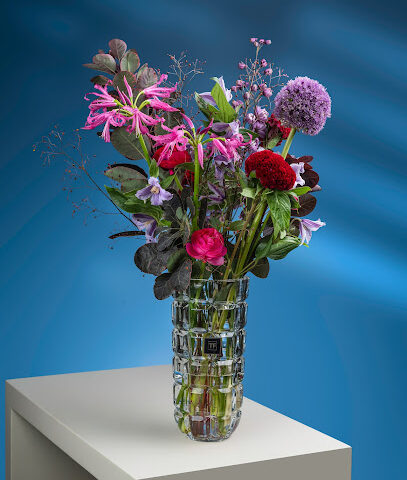Tulip Flowers - Zawaya Walk - Ajman - +971 6 536 7889